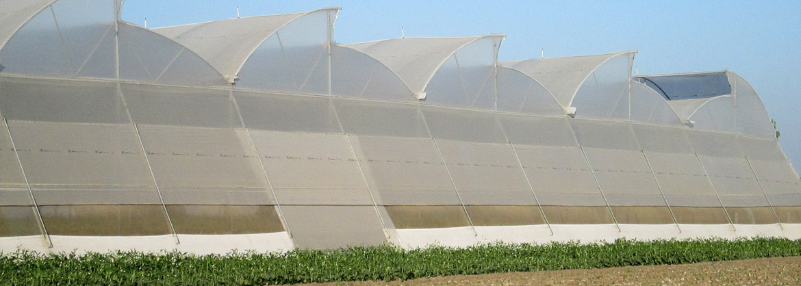 Naturally Ventilated Greenhouse