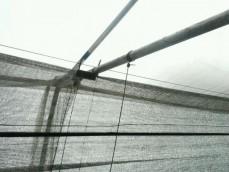 Green House (Shadnet Automation)					 					 					 					 					 					 					 					 					 					 