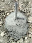 Green House (Foundation)				 					 					 					 					 					 					 					 					 