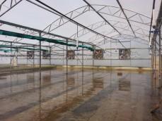 Fan & Pad Green House					 