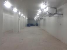 Cold Storage					 