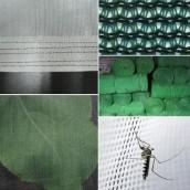 Insect Net/Shade Net/Anti bird net					 					 					 					 					 					 					 					 					 					 					 					 					 					 					 					 